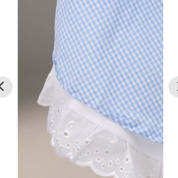 Dorothy Halloween Costume - Picture 6 of 7